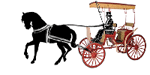 Carriage Rides
